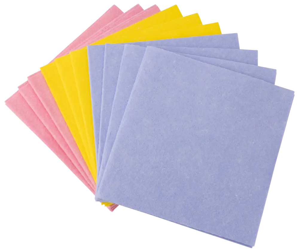 Clean Action Disktrasa 10 st