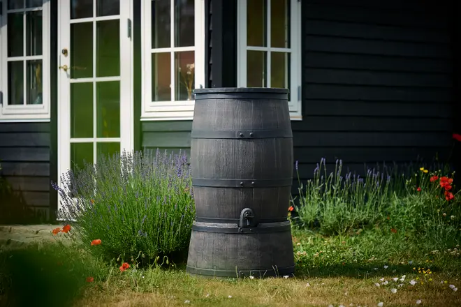 Stor, mørkegrå regntønde med sorte metalbånd og træstruktur. Har en tappehane nederst og står udendørs ved et hus omgivet af grønne planter og blomster.