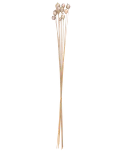Tørret gren med sølv - 95-100 cm
