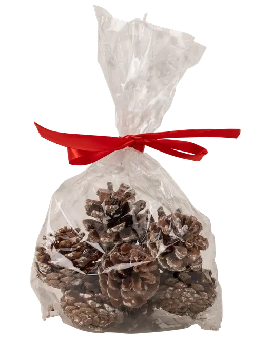 Påse med dekorativa kottar i klar plast, knuten med rött band. Perfekt för juldekoration, pyssel eller present. Naturligt brun färg med frostade toppar.