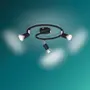 PHILIPS Spotlampe Limbali GU10 3 spot - sort