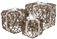 Paket med LED rotting - 3 storlekar