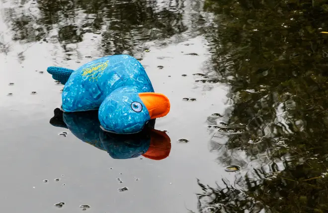 Blåt plyspapegøjelegetøj med orange næb og broderede detaljer, blødt stof, egnet til børn. Legetøjet flyder på vandet, hvilket viser størrelse og tekstur tydeligt.