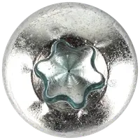 Panskrue 6,0 x 16 mm TX30 100 stk.