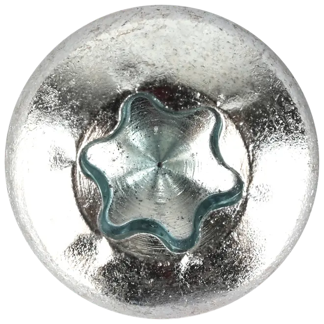 Panskrue 6,0 x 16 mm TX30 100 stk.