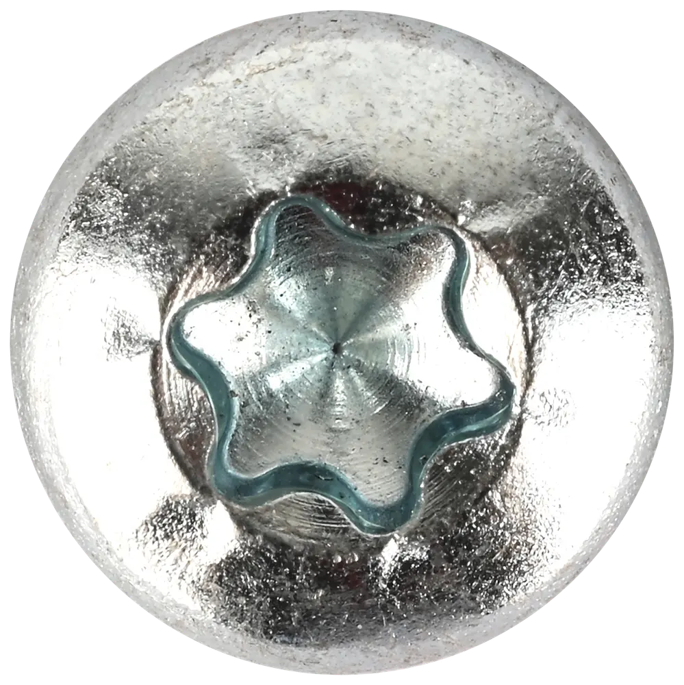 Panskrue 6,0 x 16 mm TX30 100 stk.