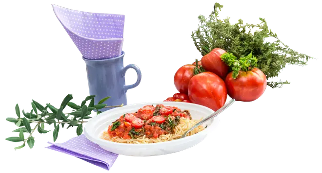 Nakano Bärbar gasspis, 2 brännare