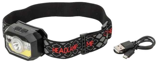 Pannlampa 300 lumen - T65