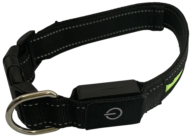 Hundhalsband led L