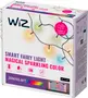WiZ Smart Fairy Light, 20 meter (65,6 fod), flerfarvet, app- og stemmestyring, til indendørs/udendørs brug, musik-synkronisering, kompatibel med Matter, magiske farveeffekter.