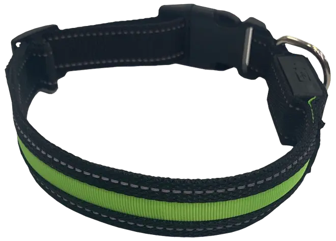 Hundhalsband led L
