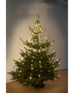Ljusslinga julgran 120 cm 