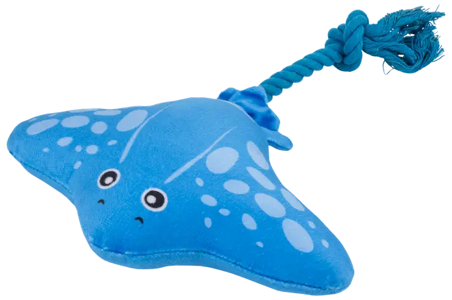 DanPet Hundleksaker Marknad C - Olika design