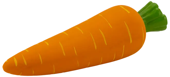 Hundleksak Grönsaker