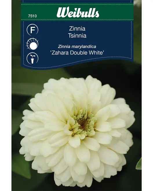Frøportioner assorterede - prisgruppe F