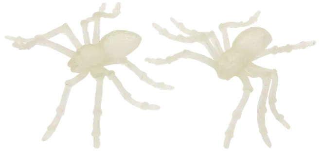 Två självlysande plastspindlar med åtta ben vardera, genomskinligt vita, lätta och flexibla, perfekta för Halloween-dekorationer eller som festtillbehör.