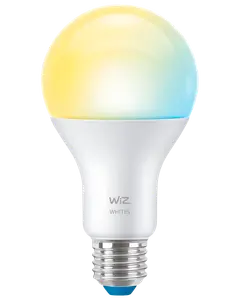 Smart LED-lampa 8W E27 A67