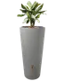 Høj, cylindrisk grå plantekasse med lodrette riller og messinghane nederst. Indeholder en grøn plante med brogede blade. Moderne og funktionelt design til inde- eller udendørs brug.
