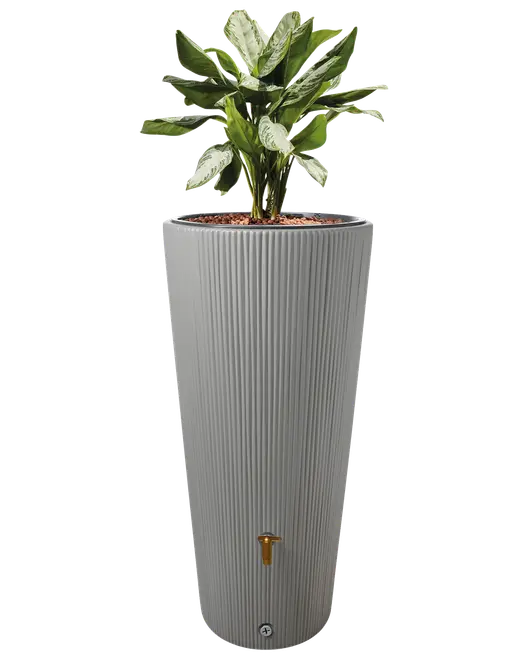 Høj, cylindrisk grå plantekasse med lodrette riller og messinghane nederst. Indeholder en grøn plante med brogede blade. Moderne og funktionelt design til inde- eller udendørs brug.