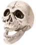 Realistisk människoskalle-replika med detaljerade tänder, mörka ögonhålor och öppen käke. Tillverkad av hållbart material, perfekt för Halloween eller utbildning. Vit med svarta skuggor.