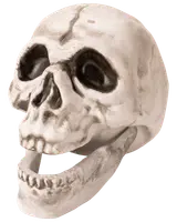 Halloween-kranium 17,4 cm