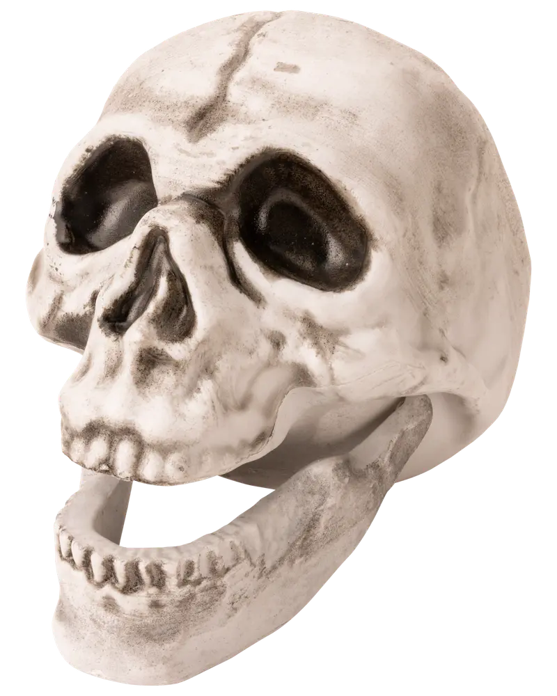 Halloween-kranium 17,4 cm
