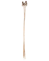 Torkade grenar silver 95-100 cm