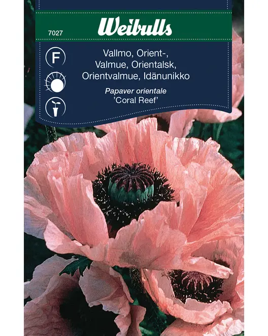 Frøportioner assorterede - prisgruppe F