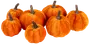 Set med sju sammetslena pumpor i orange med realistiska bruna stjälkar, mjuk yta, lätta, perfekta för höst- eller halloweenpynt, olika storlekar.