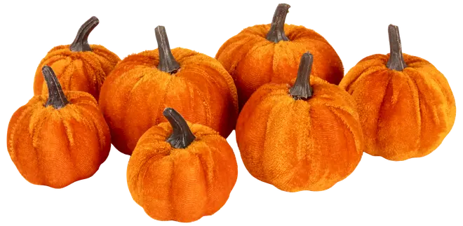 Set med sju sammetslena pumpor i orange med realistiska bruna stjälkar, mjuk yta, lätta, perfekta för höst- eller halloweenpynt, olika storlekar.