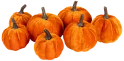 Set med sju sammetslena pumpor i orange med realistiska bruna stjälkar, mjuk yta, lätta, perfekta för höst- eller halloweenpynt, olika storlekar.
