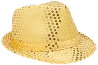 Nyårshatt paljetter