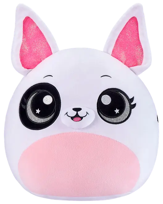 Coco surprise squishies