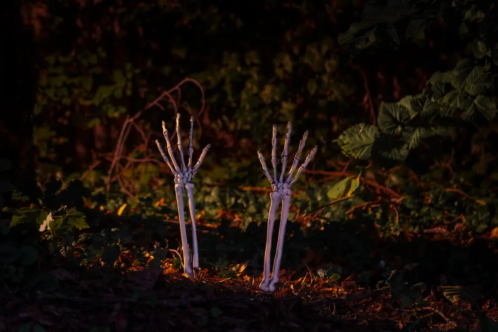 Halloween Skelett armar på spett