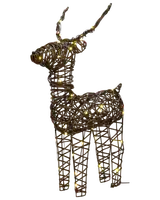 Rotting stående hjort