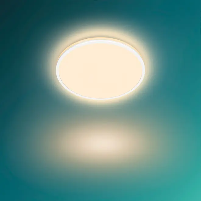 PHILIPS TAKPLAFOND OZZIET 30 CM