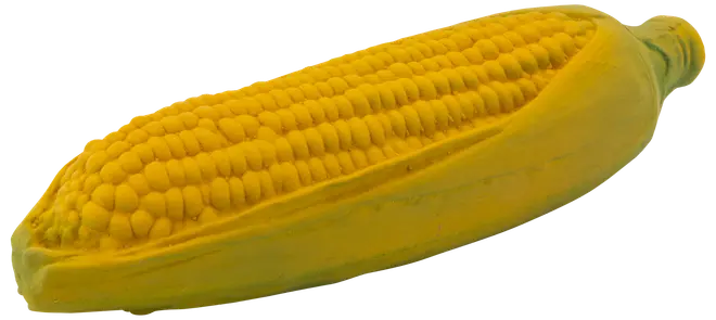 Hundleksak Grönsaker