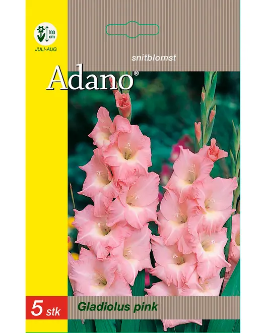 Blomsterløg assorterede varianter