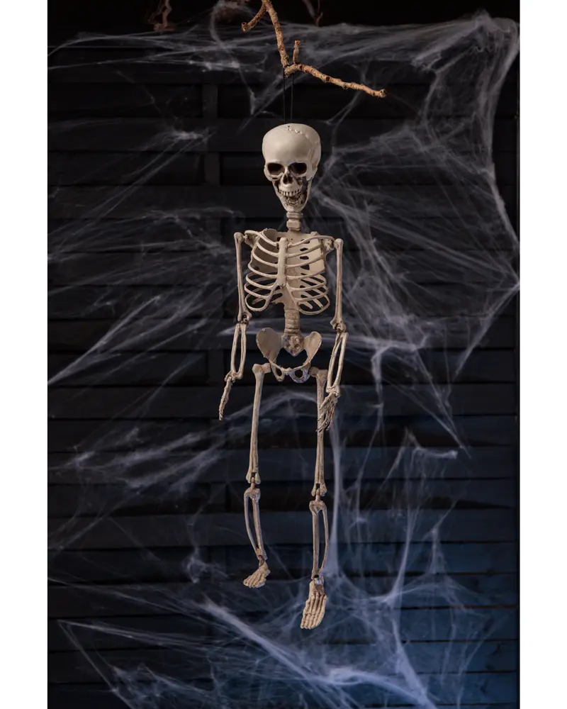 Halloween-skelett 70 cm