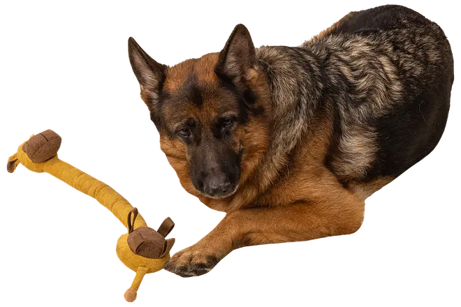 DanPet Hundelegetøj giraf 80 cm