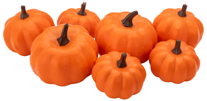 Set med sju konstgjorda pumpor i olika storlekar, klara orange färger med realistiska åsar och mörkbruna stjälkar. Perfekta för höst-, Halloween- eller Thanksgivingdekoration.