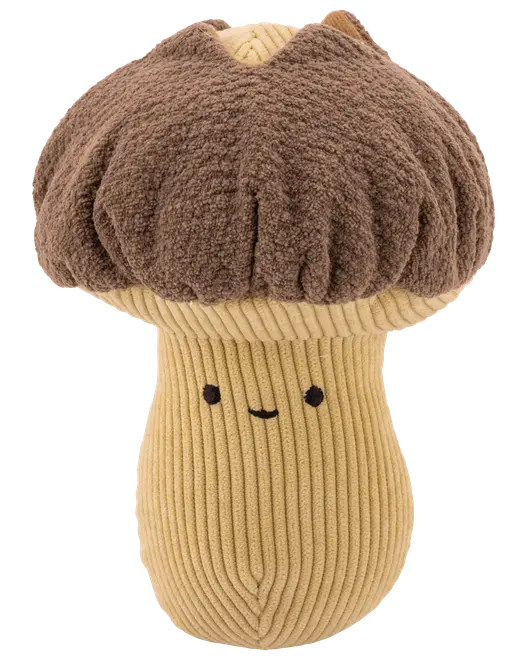 Hundelegetøj Svamp Plys