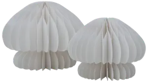 Papperssvamp 2-pack vit