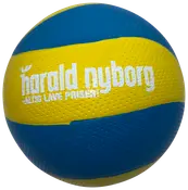 Volleyboll storlek 5