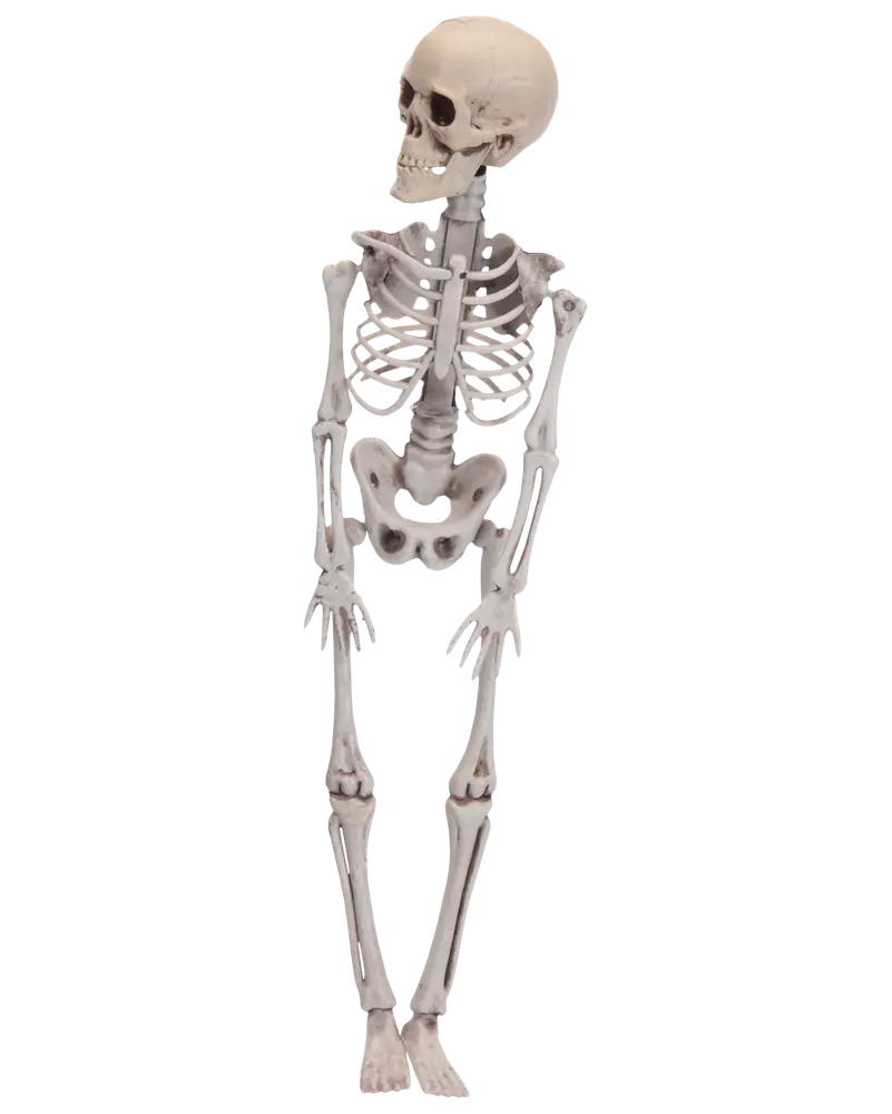 Skelett - 42 cm 
