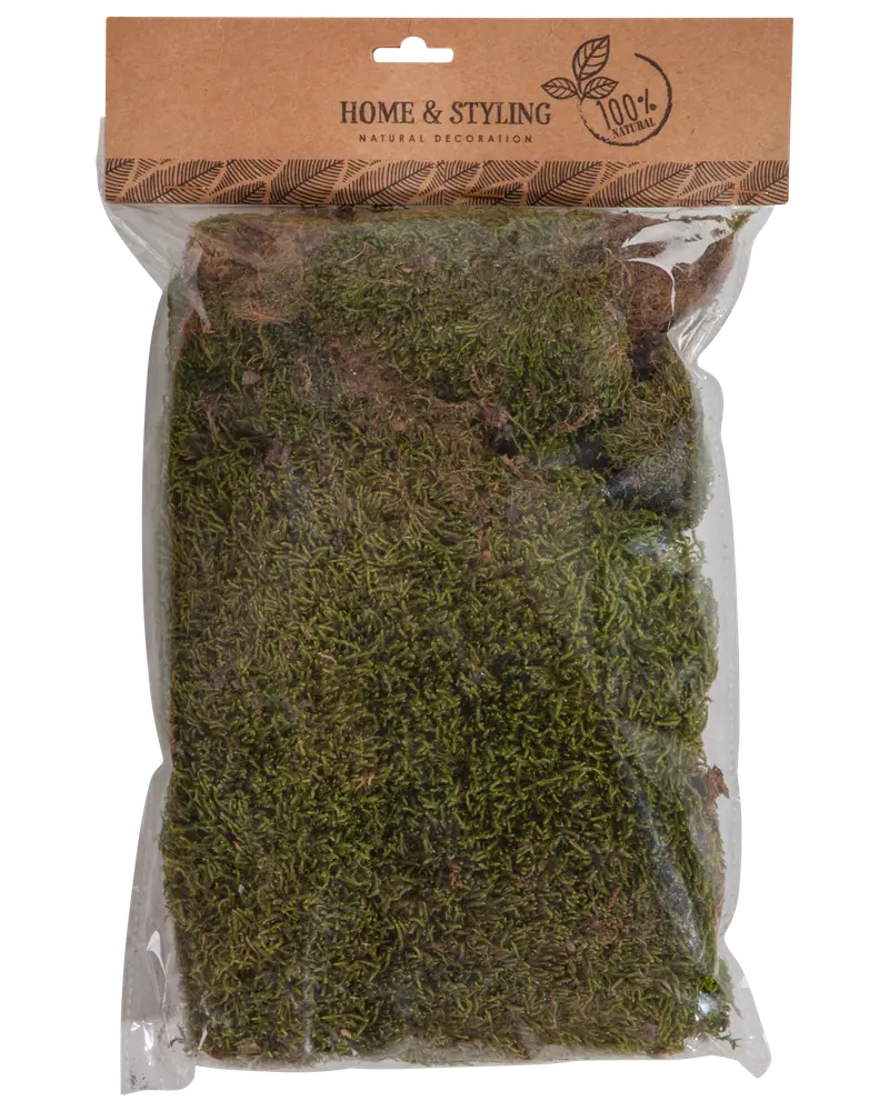 Dekorationsmossa 100 g