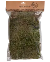 Dekorationsmossa 100 g
