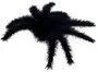 Stor svart, luddig spindeldekoration med åtta böjbara ben av syntetmaterial. Perfekt för Halloween eller temafester. Realistisk, hårig yta.