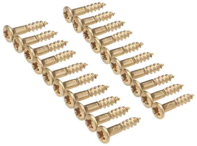 TRÄSKRUV MÄSSING 2,5X12 20 ST