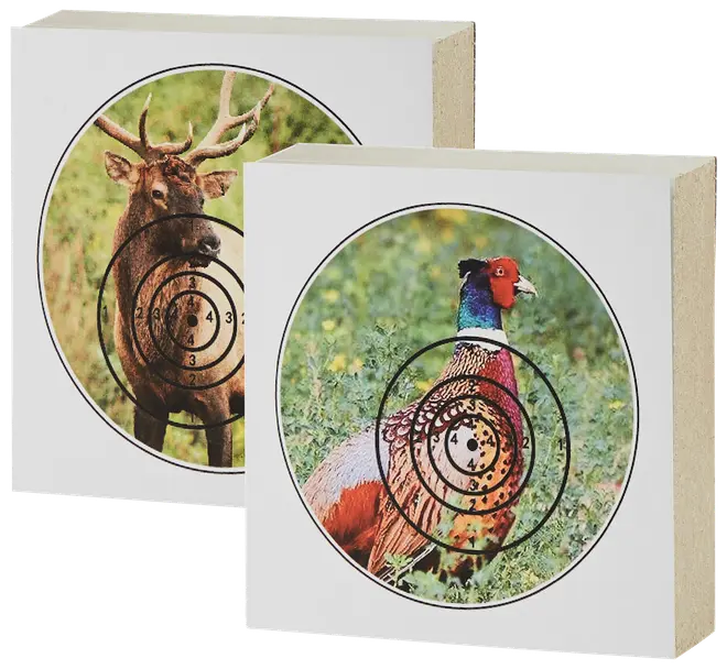 Set med två djurmålskivor, en med hjort och en med fasan, båda med koncentriska poängringar på fyrkantig pappersbakgrund.